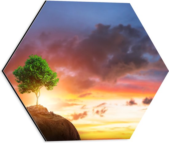 Dibond Hexagon - Fel Groen Gekleurde Boom met Prachtige Zonsondergang op een Berglandschap - 40x34.8 cm Foto op Hexagon (Met Ophangsysteem)