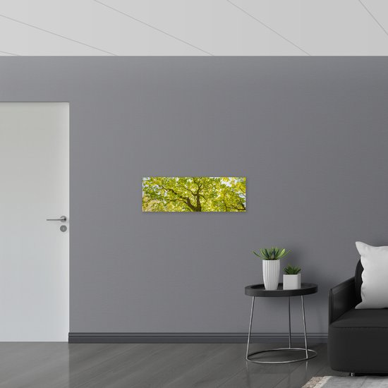 PVC Schuimplaat- Groene Boom met Zonnenstralen door de Bladeren - 90x30 cm Foto op PVC Schuimplaat