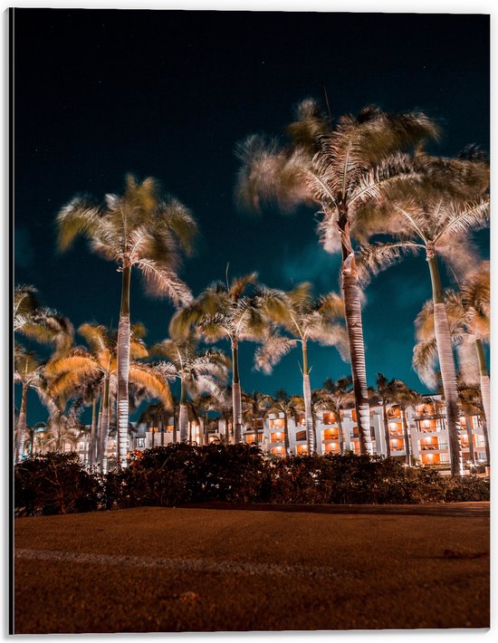 Dibond - Verlichte Palmbomen in Nacht - 30x40 cm Foto op Aluminium (Met Ophangsysteem)