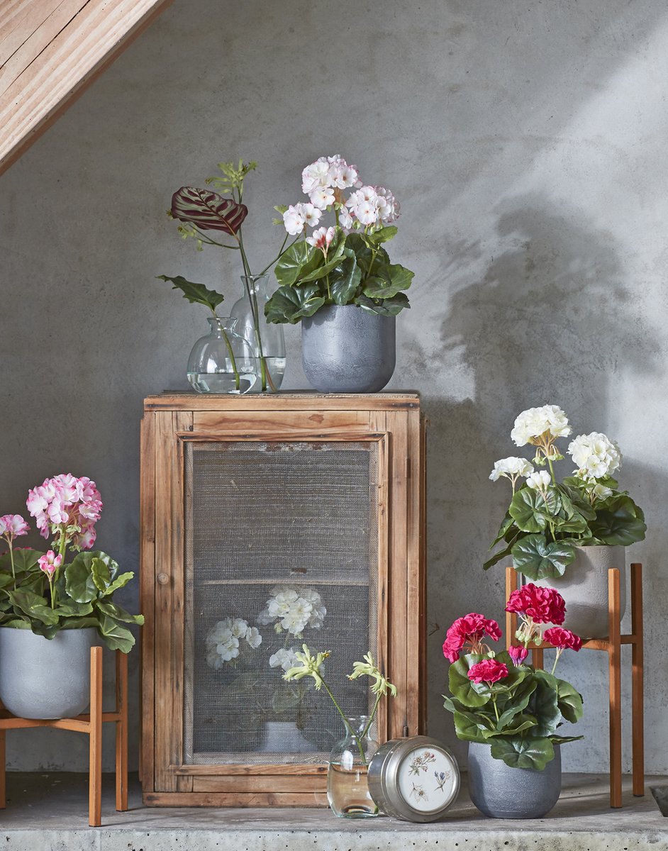 Sterilisatie Van Het Medische Instrument Met Ultraviolette Lamp Stock