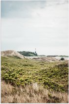 WallClassics - Poster (mat) – Herbes vertes dans un paysage devant le phare – Photo 60 x 90 cm sur papier poster avec aspect mat