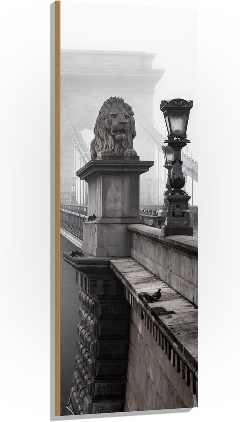 WallClassics - Hout - Kettingbrug over het Water - Boedapest - 50x150 cm - 9 mm dik - Foto op Hout (Met Ophangsysteem)