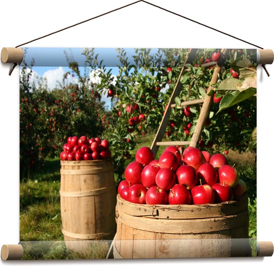 WallClassics - Textielposter - Tonnen Gevuld met Appels op Boomgaard - 40x30 cm Foto op Textiel