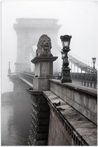 WallClassics - Poster (Mat) - Kettingbrug over het Water - Boedapest - 60x90 cm Foto op Posterpapier met een Matte look