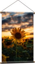 WallClassics - Affiche textile - Tournesol dans un champ avec coucher de soleil - 60x90 cm Photo sur textile