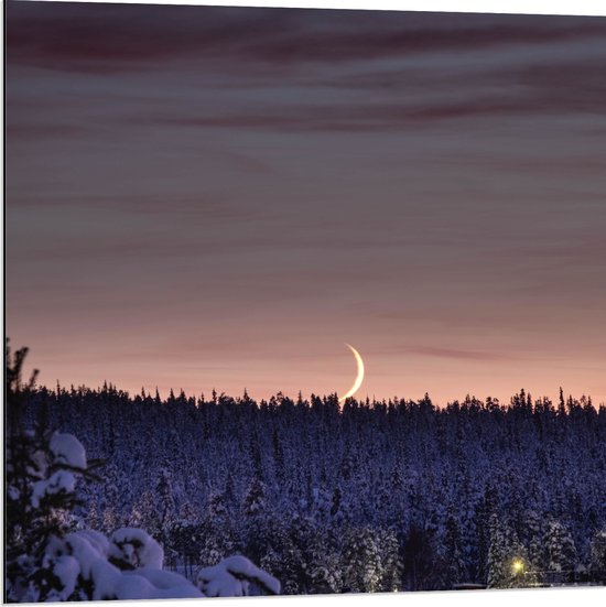 WallClassics - Dibond - Smalle Maan boven Huisje in het Bos met Sneeuw - 80x80 cm Foto op Aluminium (Met Ophangsysteem)
