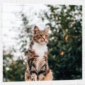 WallClassics - Muursticker - Gevlekte Kat Wegkijkend - 80x80 cm Foto op Muursticker
