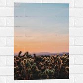 WallClassics - Muursticker - Cylindropuntia Fulgida Plantjes voor Berglandschap met Oranje Lucht - 40x60 cm Foto op Muursticker