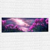 WallClassics - Muursticker - Donder en Bliksem boven Paars Tulpenveld - 120x40 cm Foto op Muursticker