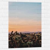 WallClassics - Muursticker - Cylindropuntia Fulgida Plantjes voor Berglandschap met Oranje Lucht - 60x90 cm Foto op Muursticker