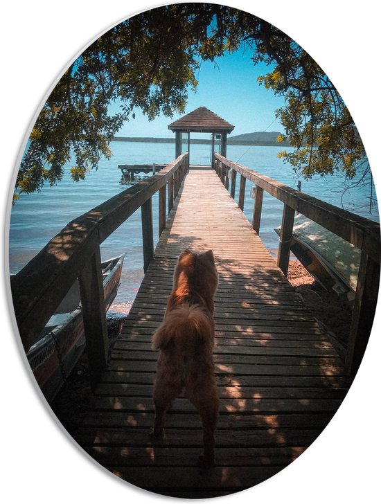 WallClassics - PVC Schuimplaat Ovaal - Bruine Hond op Stijger Richting het Water - 30x40 cm Foto op Ovaal (Met Ophangsysteem)