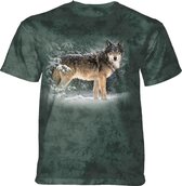 T-shirt Snowfall KIDS KIDS S