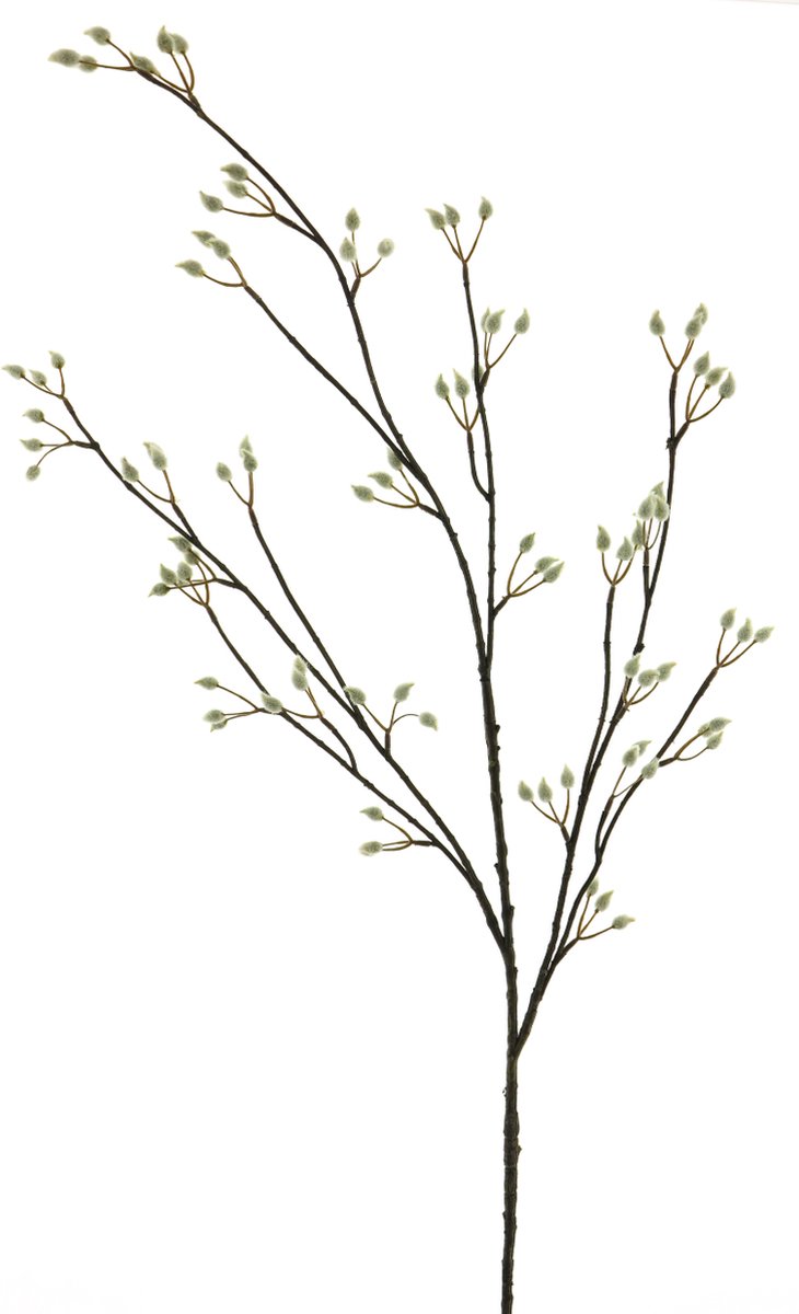 Erutan avon Pussy willow spray cream 120cm Erutan Avon onbekend