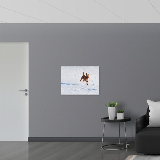 WallClassics - Drapeau - Chien marron courant dans la neige - Photo 80x60 cm sur drapeau polyester