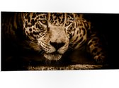 WallClassics - PVC Schuimplaat- Bruine Jaguar - 100x50 cm Foto op PVC Schuimplaat