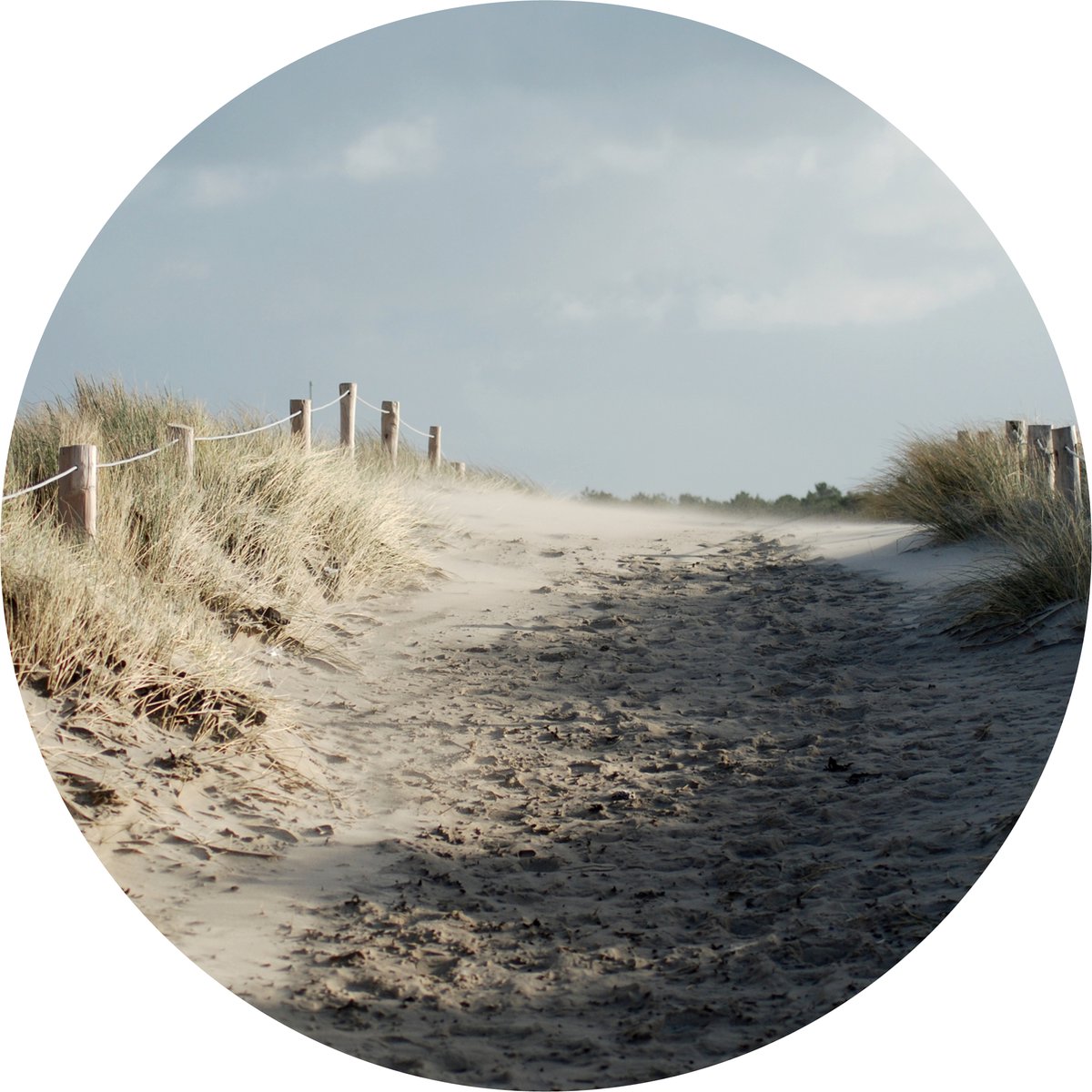 Texelphotos.nl - Muurcirkel -Texel Strandopgang - Wanddecoratie rond - Wandcirkel - Natuur - Duinen - Strand - Forex – lichtgewicht PVC - 60x60 cm - Binnen en Buiten.