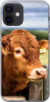 Geschikt voor iPhone 12 hoesje - Schotse Hooglander - Berg - Hek - Siliconen Telefoonhoesje