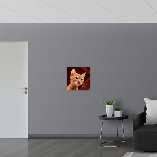 WallClassics - Drapeau - Chaton Oranje - 50x50 cm Photo sur Drapeau Polyester