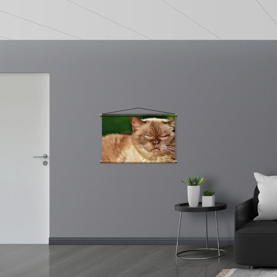 WallClassics - Affiche textile - Chat British Shorthair couché - Photo sur textile 90x60 cm