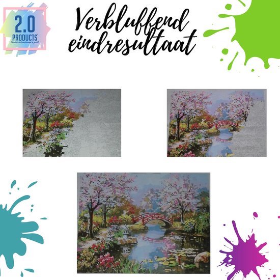 TISHIRON Schilderen op nummer voor volwassenen, Painting by Numbers