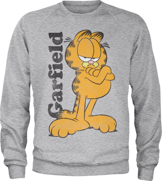 Garfield Sweater/trui -L- Garfield Grijs