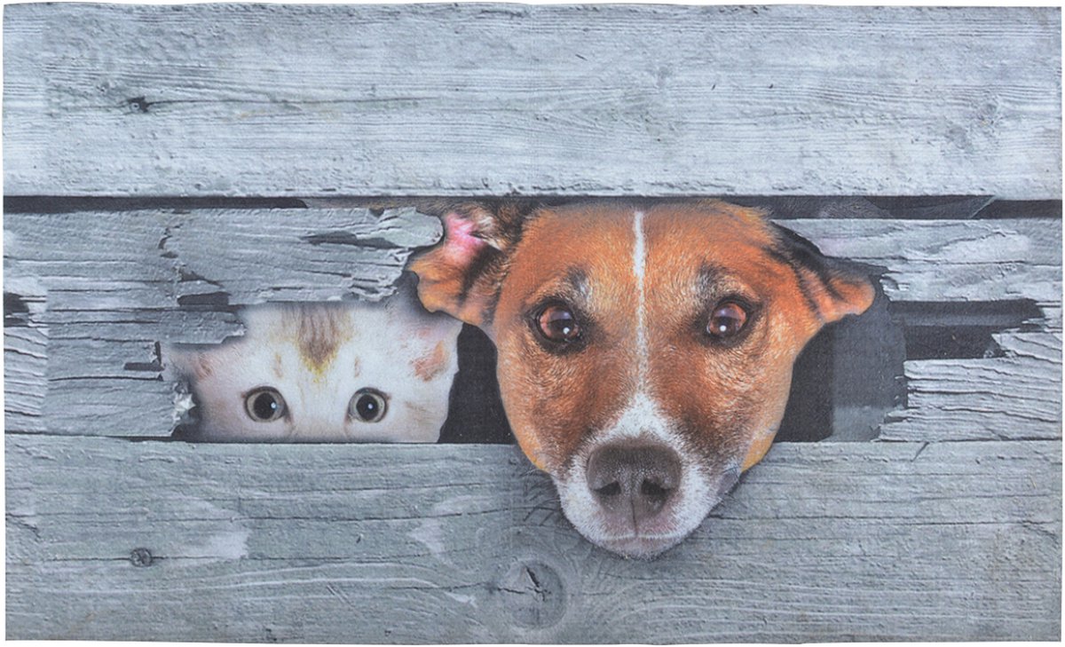Deurmat Kiekeboe! Hond & kat 75 cm x 45,4 cm - deurmat - mat - anti slip - voor binnen en buiten - geschenk - cadeau - gift - nieuwjaar - kerst - verjaardag