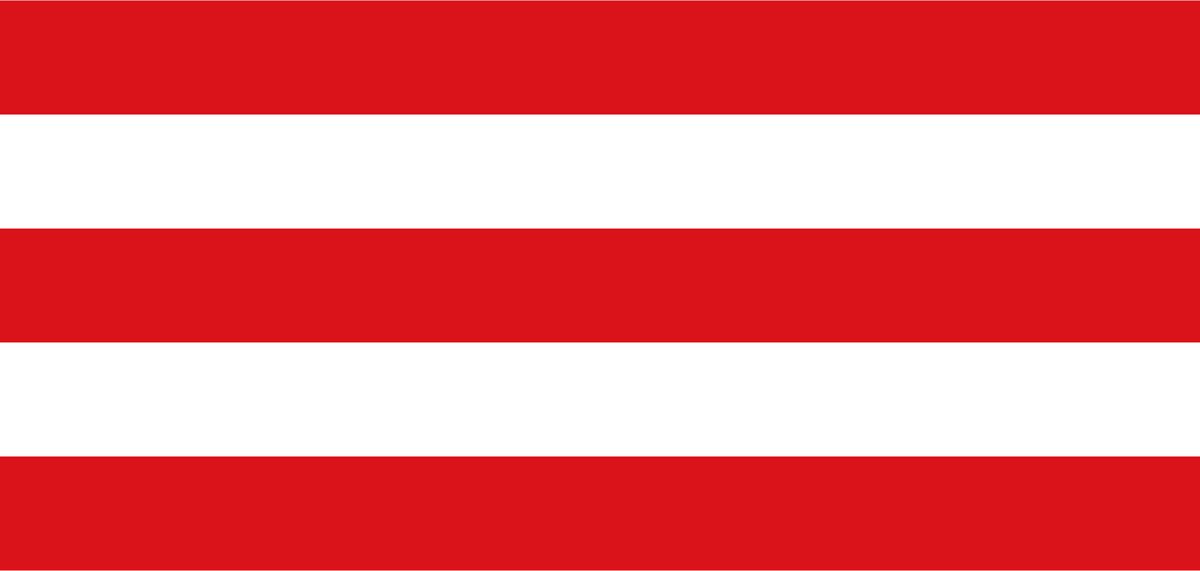 Vlag Lier 120x180cm