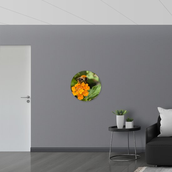 WallClassics - Plaque Mousse PVC Cercle Mural - Abeille sur Fleurs Jaunes - 60x60 cm Photo sur Cercle Mural (avec système d'accrochage)