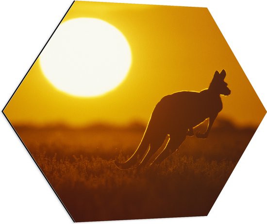 Dibond Hexagon - Zonsondergang Silhouet van een Kangoeroe - 70x60.9 cm Foto op Hexagon (Met Ophangsysteem)