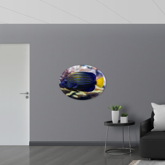 WallClassics - Panneau de mousse PVC ovale - Blauw avec poisson jaune nageant dans l' Water - 96x72 cm Photo sur ovale (avec système de suspension)