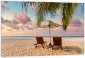 Tuinposter – Twee Ligbedden op het Strand met Palmboom - 120x80 cm Foto op Tuinposter (wanddecoratie voor buiten en binnen)