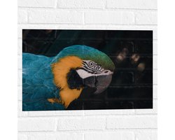 Muursticker - Blauw met Gele Vogel - Ara - 60x40 cm Foto op Muursticker
