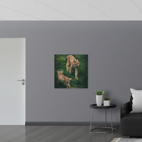 WallClassics - Muursticker - Bébé lynx avec sa mère derrière une clôture - Photo 80 x 80 cm sur Muursticker