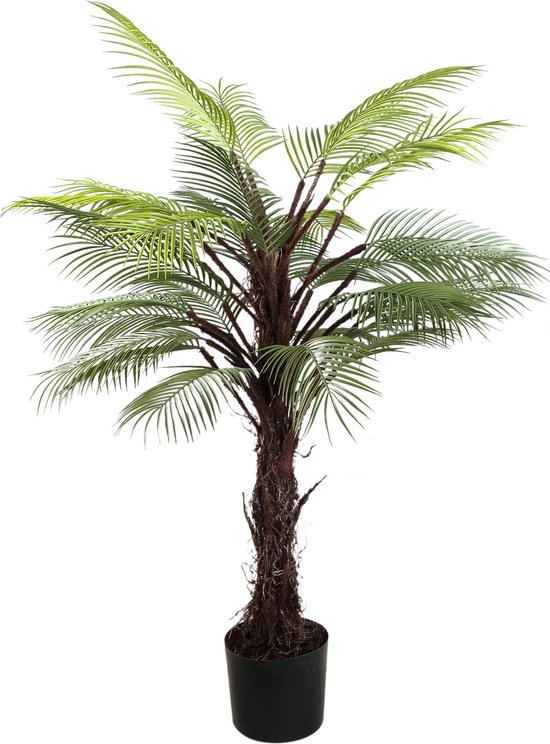PTMD Tree Green palm tree in black pot bol