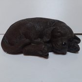 Beeldje puppy labrador bruin liggend 20 cm breed