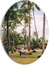 PVC Schuimplaat Ovaal - Hangmat tussen Palmbomen - 21x28 cm Foto op Ovaal (Met Ophangsysteem)