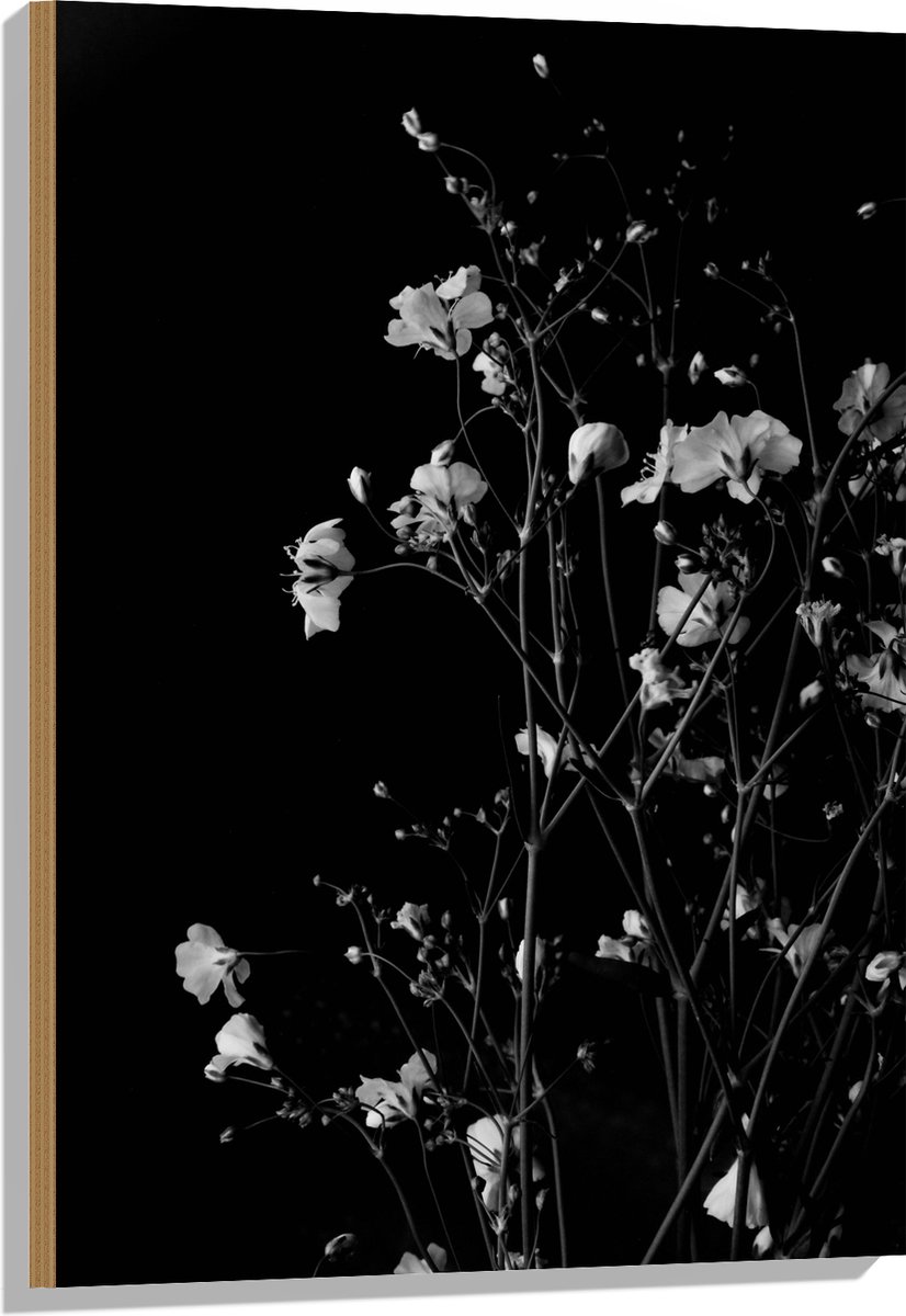 Hout - Sluierkruid Bloemen Zwart/Wit - 60x90 cm - 9 mm dik - Foto op Hout (Met Ophangsysteem)