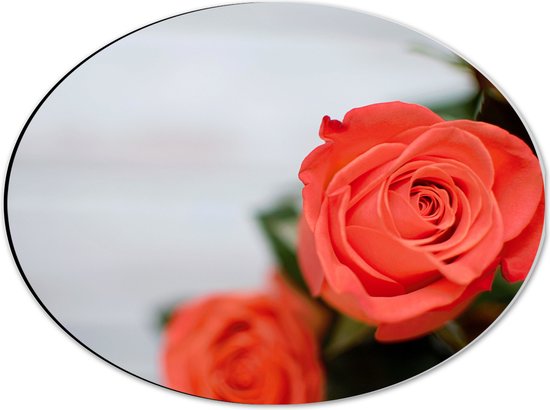 Dibond Ovaal - Rode Rozen - 40x30 cm Foto op Ovaal (Met Ophangsysteem)