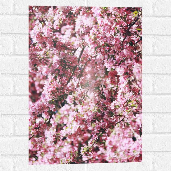 Muursticker - Licht Roze Bloementjes - 40x60 cm Foto op Muursticker
