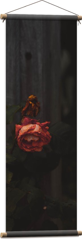 Textielposter - Oude Rode Roos voor Houten Paal - 40x120 cm Foto op Textiel