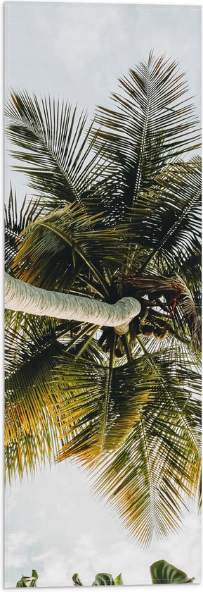 Vlag - Palmboom vanaf onder - 20x60 cm Foto op Polyester Vlag