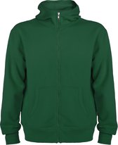 Groen sweatshirt met rits en capuchon model Montblanc merk Roly maat XL