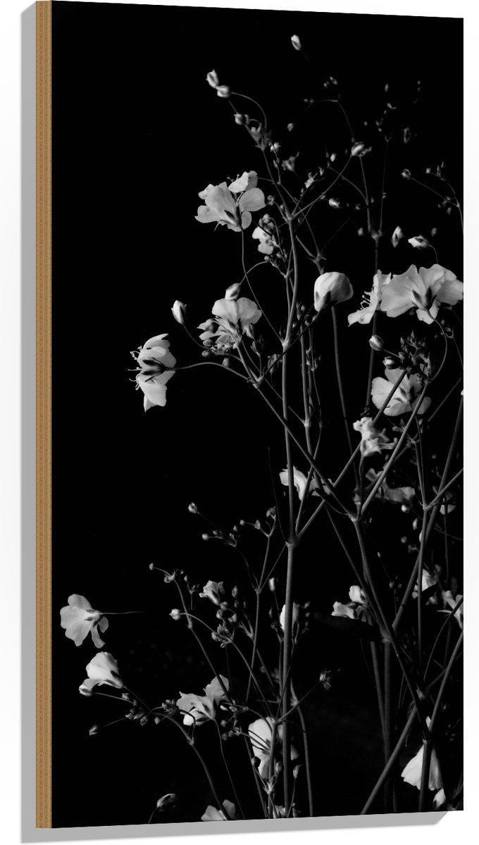 Hout - Sluierkruid Bloemen Zwart/Wit - 50x100 cm - 9 mm dik - Foto op Hout (Met Ophangsysteem)