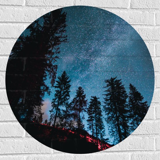WallClassics - Muursticker Cirkel - Onderaanzicht van Hoge Donkere Bomen onder Heldere Sterrenhemel - 70x70 cm Foto op Muursticker