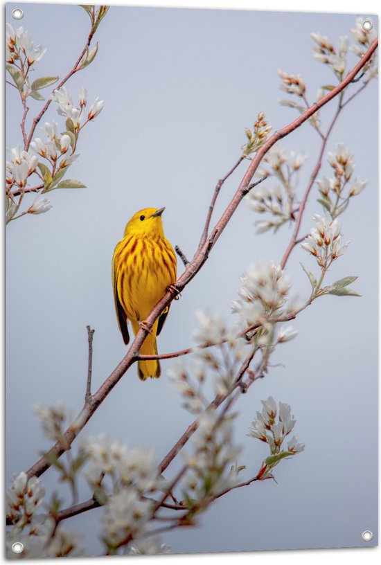 WallClassics - Tuinposter – Gele Vogel op Tak met Bloemen - Mangrovezanger - 70x105 cm Foto op Tuinposter (wanddecoratie voor buiten en binnen)