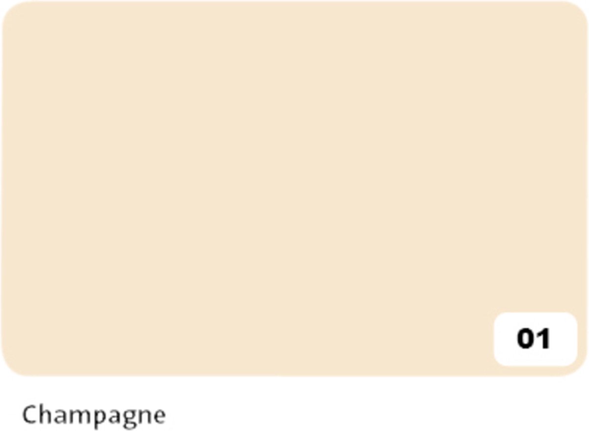 Fotokarton Folia 2-zijdig 50x70cm 300gr nr01 champagne | 10 stuks