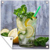 Posters de jardin Cocktail - Fruits - Herbes - 50x50 cm