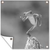 Affiche de Jardin La Grenouille aux yeux rouges au Costa Rica en noir et blanc - 200x200 cm - Toile jardin - Affiche extérieure