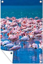 Tuinposter - Tuindoek - Tuinposters buiten - Flamingo - Water - Tropisch - Water - Roze - 80x120 cm - Tuin