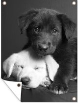 Tuinschilderij Honden - Puppy - Zwart - Wit - Dieren - 60x80 cm - Tuinposter - Tuindoek - Buitenposter